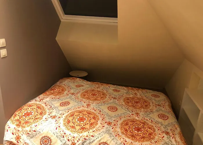 @ 10 Personnes Avec Piscine Interieure 31 Degres Zoo De 24 H Du Mans La Flèche