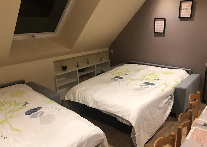 @ 10 Personnes Avec Piscine Interieure 31 Degres Zoo De 24 H Du Mans